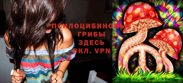 хмурый Алексеевка