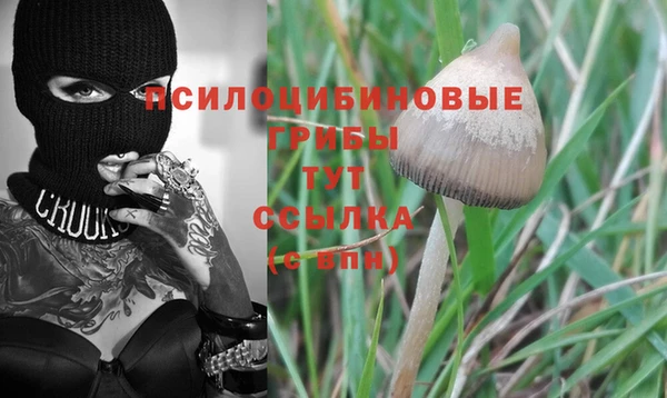 apvp Алексин
