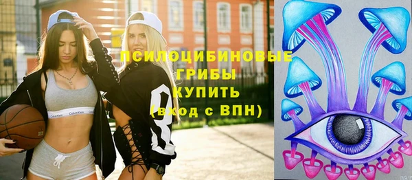хмурый Алексеевка