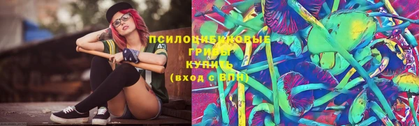 хмурый Алексеевка