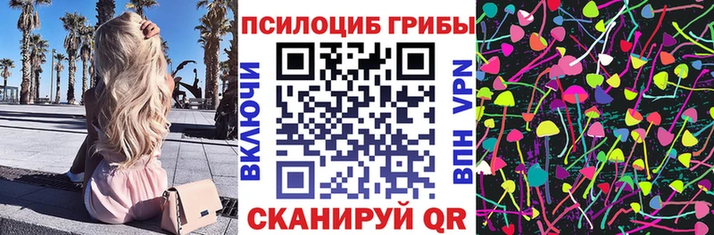 Псилоцибиновые грибы Psilocybe Перевоз